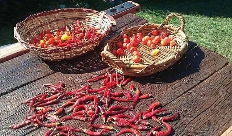 Osteria I'Casolare Hotel San Giovanni Valdarno 0*,  Italy